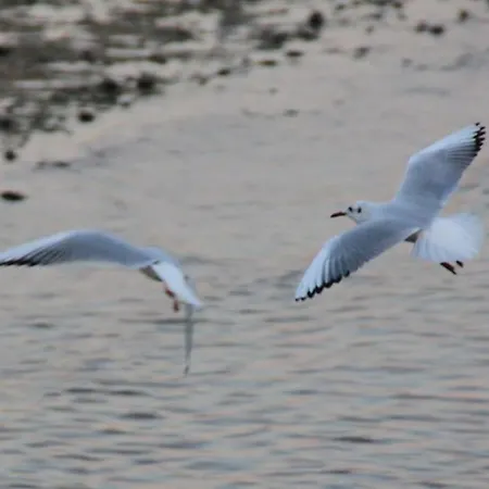 Dans Maison 2 Km De La Prázdninový dům Villeneuve-Loubet
